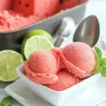 Watermelon Mojito Sorbet Recipe