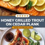 Honey Grilled Trout Recipe