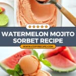 Watermelon Mojito Sorbet Recipe