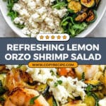 Summer Lemon Orzo Salad With Shrimp Recipe