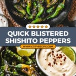 Blistered Shishito Peppers with Dipping Sauce Recipe
