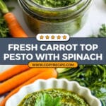 Carrot Top Pesto Recipe