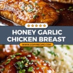 Honey Garlic Chicken Breast Recipe
