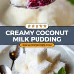 Coconut Milk Pudding Recipe