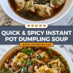 Instant Pot Spicy Dumpling Soup Recipe