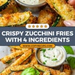 Zucchini Fries Recipe