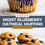 Blueberry Oatmeal Muffins Recipe