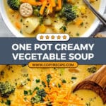 One Pot Creamy Vegetable Soup Recipe