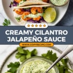 Creamy Cilantro, Jalapeño, and Garlic Green Sauce Recipe
