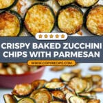 Baked Zucchini Chips Recipe