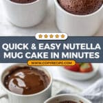 Nutella Mug Cake Recipe