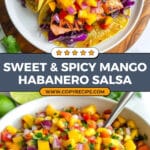 15 Minute Sweet & Spicy Mango Habanero Salsa Recipe