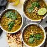 Chicken Chile Verde Pressure Cooker Recipe