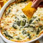 Bubbly Spinach Artichoke Dip Recipe