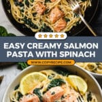 The Best Creamy Salmon Pasta Recipe