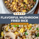 Mushroom Fried Rice Recipe