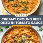 Ground Beef Orzo with Tomato Cream Sauce Recipe