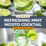Mint Mojito Recipe