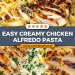 Creamy Chicken Alfredo Pasta Recipe
