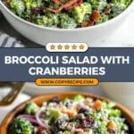 The Best Broccoli Salad Recipe