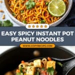 Spicy Instant Pot Peanut Noodles Recipe